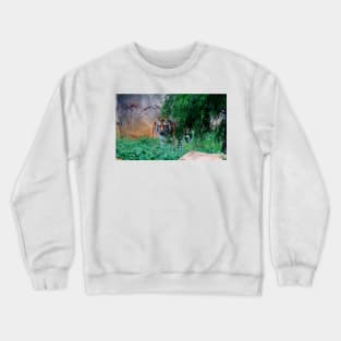 Siberian Tiger Crewneck Sweatshirt